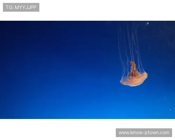 星空体育手机版会员登录遇到问题怎么办，详细解决方案全攻略